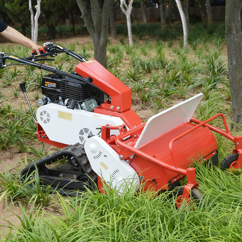 Хит продаж: Самоходная газонок – обзор и цена Hedge Trimmer Cordless